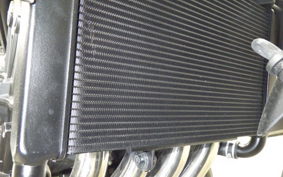 HONDA CB650R E-Clutch 2025 RH17