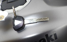 KAWASAKI ZX-4R SE 2024 ZX400P