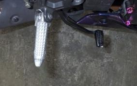 KAWASAKI ZX-4R SE 2024 ZX400P