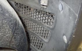 HONDA FAZE 2023 MF11