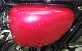 KAWASAKI W800 2022 EJ800E