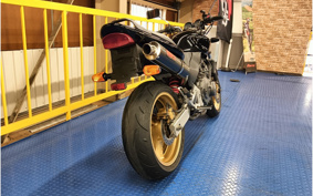 HONDA HORNET 250 MC31
