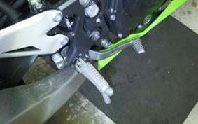 KAWASAKI NINJA 250 2 2021 EX250Y