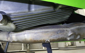 KAWASAKI NINJA 250 ABS 2021 EX250L