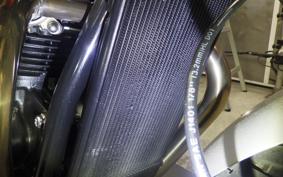 TRIUMPH SPEED TWIN 2022