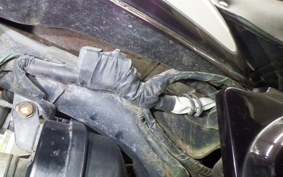 HONDA MONKEY 2006 Z50J