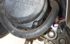 YAMAHA CUTE 53L