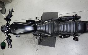 HARLEY XL883N 2021
