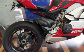 DUCATI PANIGA-REV4 SPECIALE 2018 DA00J