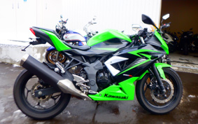 KAWASAKI Ninja 250SL BX250A