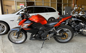 KAWASAKI Z250 ER250C