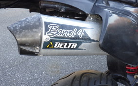 KAWASAKI KLX250D TRACKER 2001 LX250E