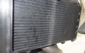 HUSQVARNA SVARTPILEN 401 2019