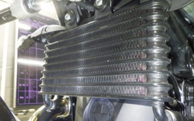 BMW R NINE T SCRAMBLER 2024