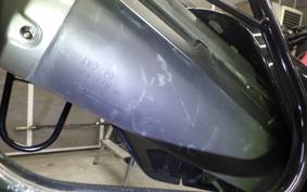 HONDA CRF250 RALLY 2010 MD44