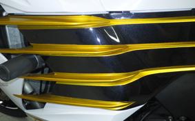 KAWASAKI ZX 1400 NINJA R A 2014