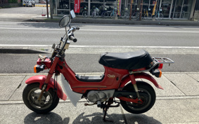 HONDA CAR LEE50 CF50