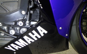 YAMAHA YZF-R1 2010