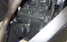 KAWASAKI NINJA 250 ABS