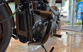 HARLEY FXBBS 2023 YYK