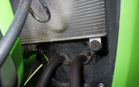 KAWASAKI NINJA 250R 2019 EX250K