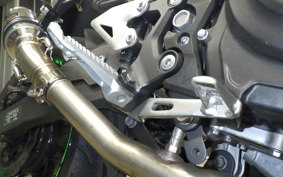 KAWASAKI Z250 Gen.2 2023 EX250Y