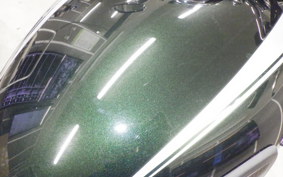 KAWASAKI W800 2020 EJ800B