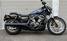HARLEY RH975S NIGHT STAR 2023 ZF1