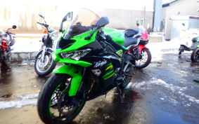 KAWASAKI NINJA ZX-6R 2019 ZX636G