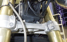 TRIUMPH STREET TRIPLE 2009