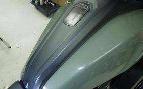 HARLEY ﾊﾟﾝ AMERICA1250S 2021