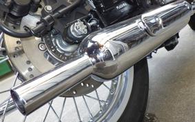 KAWASAKI W800 2020 EJ800B