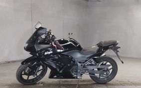 KAWASAKI NINJA250R EX250K