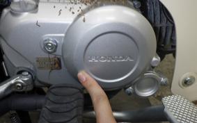 HONDA C110 SUPER CUB JA59