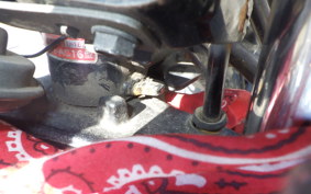 HONDA APE 50 AC16