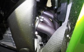 KAWASAKI NINJA ZX-6R A 2025 ZX636J