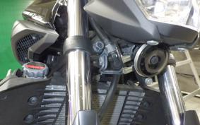 YAMAHA MT-25 2013 RG10J
