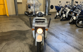 HONDA  BENLY  PRO  AA05