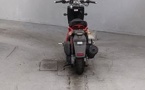 OTHER DEIRINB-BONE ..