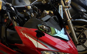 KAWASAKI NINJA 250 EX250P