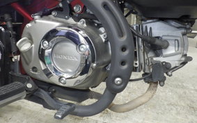HONDA MONKEY 125 ABS 2024 JB02