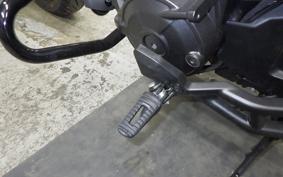 HONDA REBEL 1100 DCT 2024 SC83