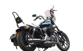 HARLEY XL1200NS 2019 LP3