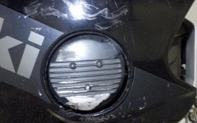 KAWASAKI ZXR250 2017 ZX250A