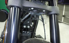 HARLEY FXLRS1920 2026