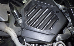 HONDA ﾀﾞﾝｸ 2024 AF78