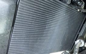 YAMAHA XSR900 2026 RN96J
