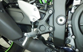 KAWASAKI ZX-4RR 2024 ZX400P