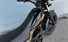 YAMAHA TW225 DG09J