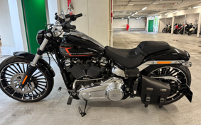 HARLEY FXBR 2023 YEZ